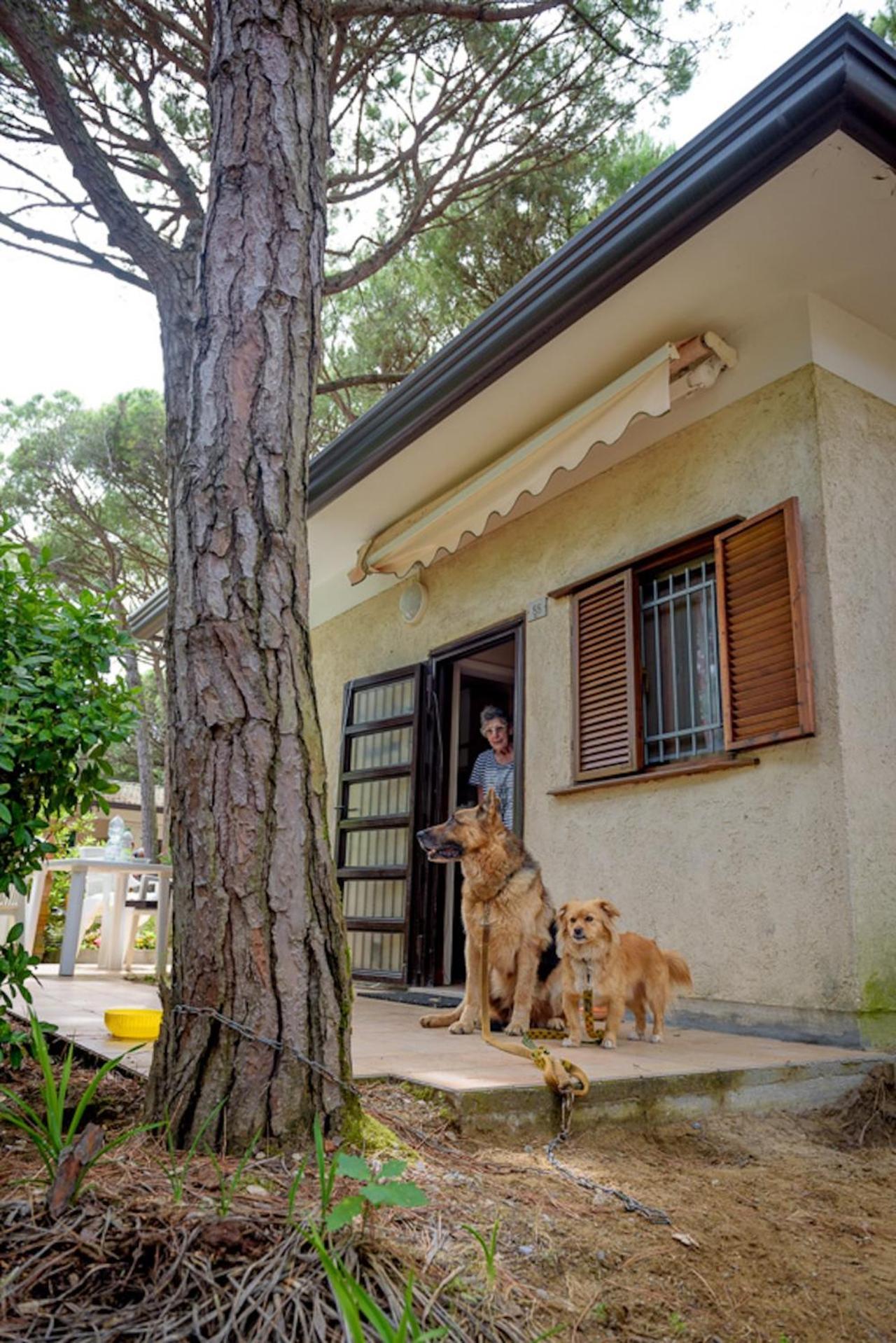 Arco Bungalow Eraclea Mare Exterior foto